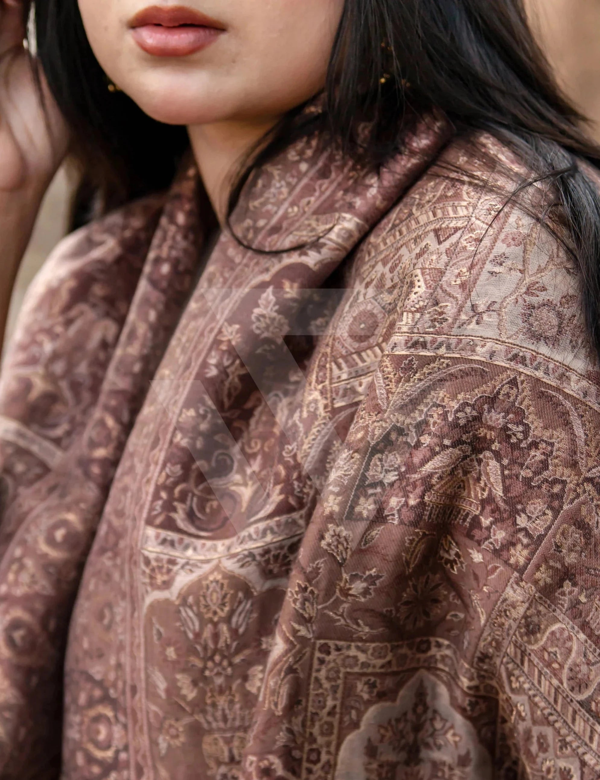 Soft Brown Kaani work Pashmina Shawl.