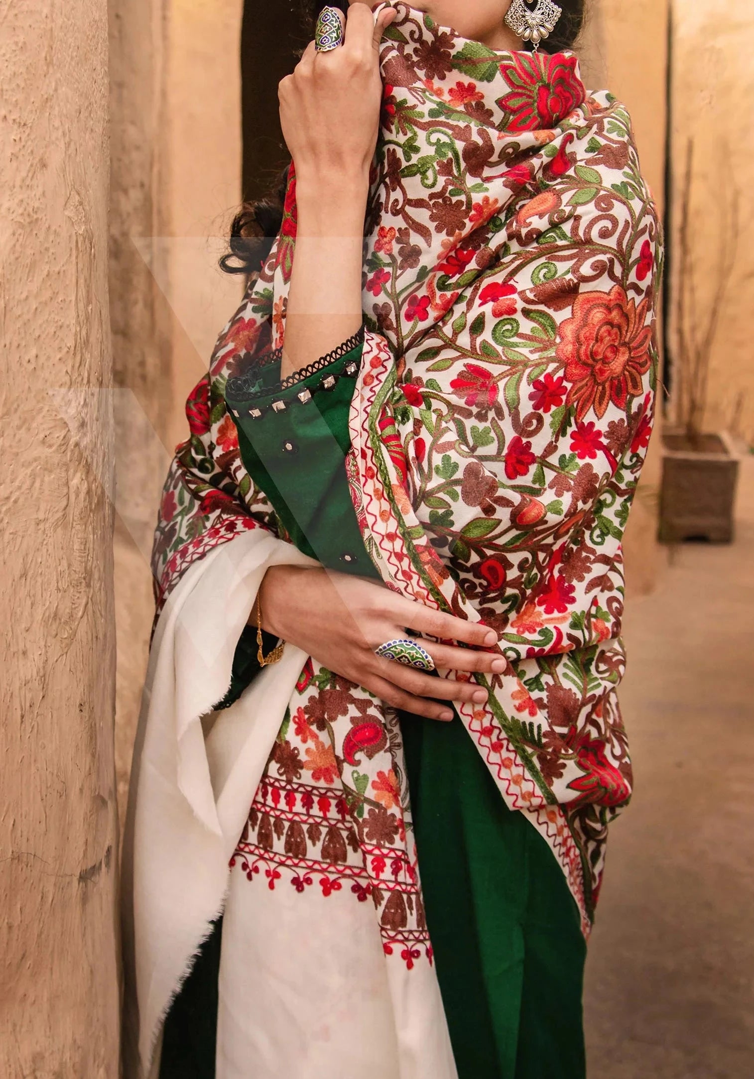 Multi-coloured Aari Jali  work Pashmina Shawl