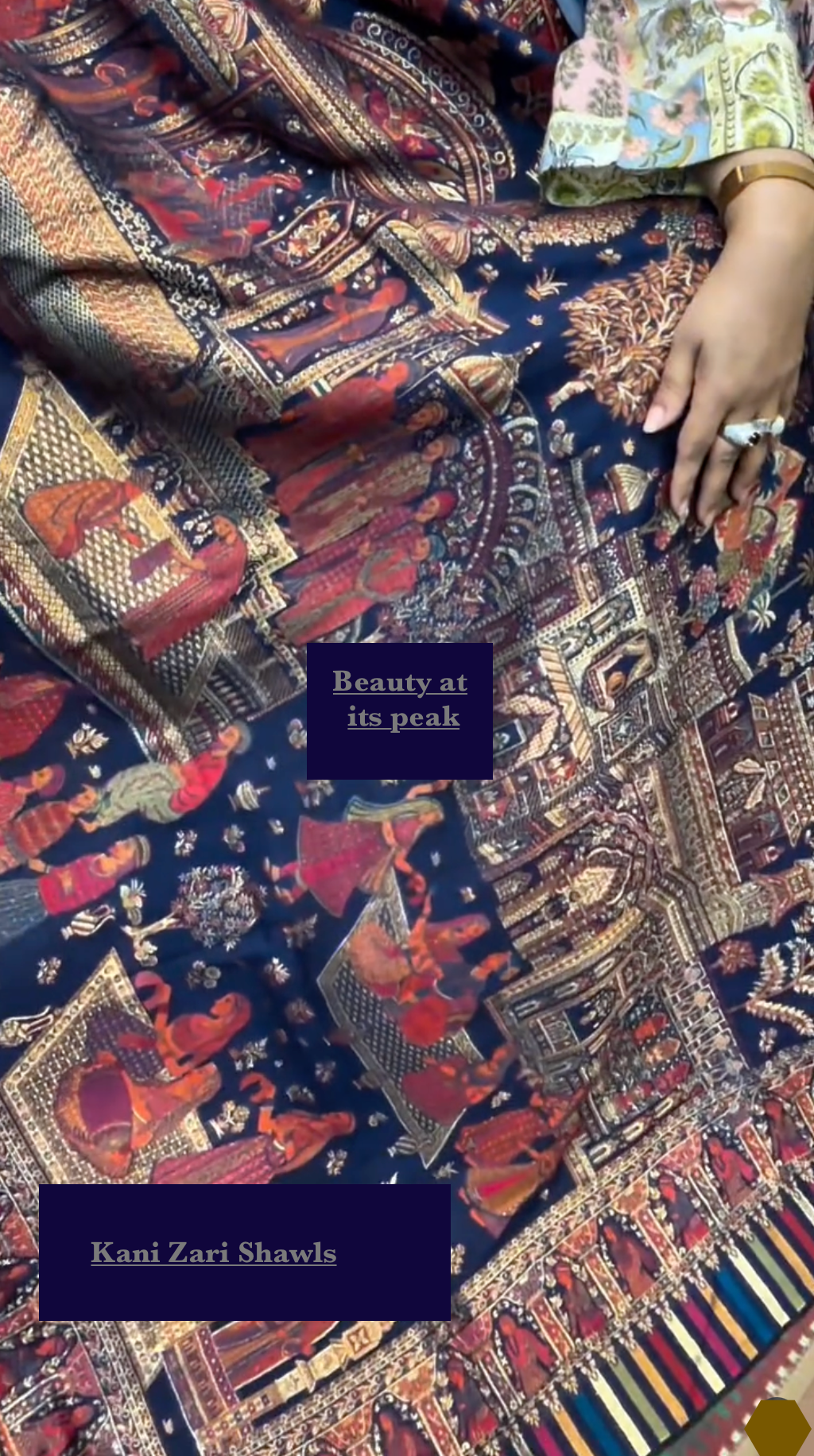 Decorative Kani Zari Shawl with intricate patterns and a hand holding it.